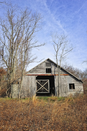 _DSC4060duck barn in the woods  Riverhead,NY